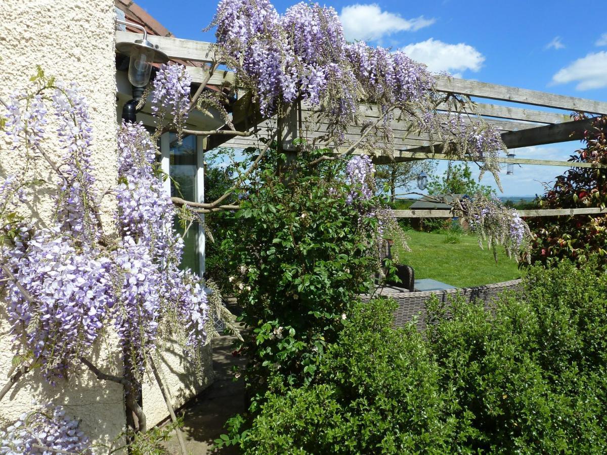 The Lodge, At Orchard Cottage Much Marcle Exterior foto
